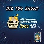 Honey Fact Card