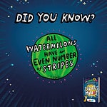 Watermelon Fact Card